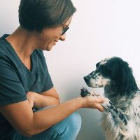 FLOTTE-LOTTE-Leistung | Hundefriseur Hamburg
