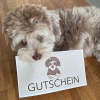FLOTTES-GESCHENK | Hundefriseur Hamburg